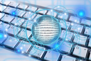 九游下载电脑版官网-中国篮球联赛数据驱动的战术优化实践,中国篮球数据库查询