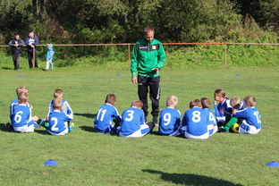 九游官网下载电脑版-中国足球关键比赛策略变化图解,中国足球关键比赛策略变化图解视频